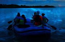 Bioluminescence Rafting Boat Tour Wildlife Refuge