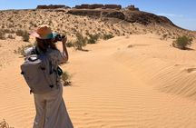 Guided Desert Castles Photo Tour