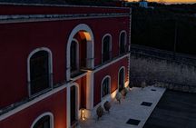 Tenute Girolamo: Wine Tour VIP