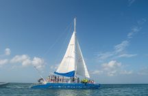 Dolphin Catamaran Snorkel and Sail with Open Bar