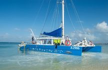 Dolphin Catamaran Snorkel and Sail with Open Bar