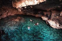 Pink Lagoon, Flamingos, Cenote, and Beach Escape from Merida