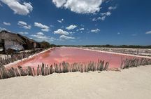 Pink Lagoon, Flamingos, Cenote, and Beach Escape from Merida