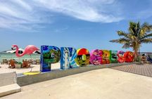 Pink Lagoon, Flamingos, Cenote, and Beach Escape from Merida
