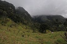 Private tour: La Chorrera highest waterfall in Colombia 