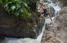 Private El Yunque Half-Day Tour with Transport