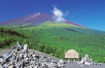 Mt Fuji Lake Kawaguchi and Yamanakako Onsen Tour from Tokyo