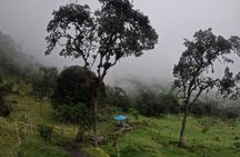 Private tour: La Chorrera highest waterfall in Colombia 