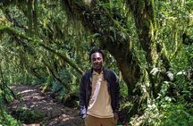 Marangu Route Hiking to Mandara Hut on Mount Kilimanjaro