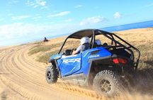 Beach UTV Adventure with Free Camel & Horseback Ride