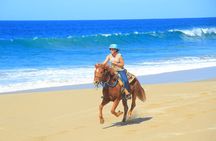 Beach UTV Adventure with Free Camel & Horseback Ride