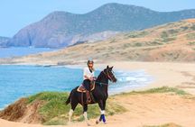 Beach CAN-AM SXS X3 & Horseback Ride in Cabo by Cactus Tours Park