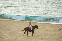 Beach CAN-AM SXS X3 & Horseback Ride in Cabo by Cactus Tours Park