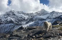 Hiking experience in the High Sierra Nevada National Park 
