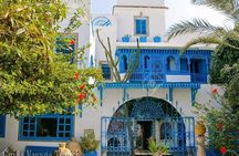 Magic Blue & White Day: Medina, Sidi Bou Said & Carthage Trip