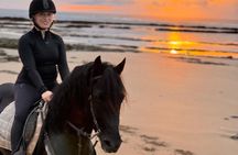Essaouira Dar Sultan Palace Horseback Tour Experience