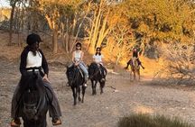Essaouira Dar Sultan Palace Horseback Tour Experience