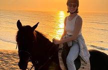 Essaouira Dar Sultan Palace Horseback Tour Experience