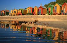 Table Mountain, Cape Point & Penguins Tour – All Fees Included