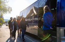 Banff Morning Tour Scenic Highlights and Gondola Ride