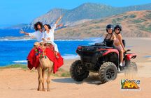 Combo 4x4 Automatic ATV and Camel Ride Tour in Cabo San Lucas