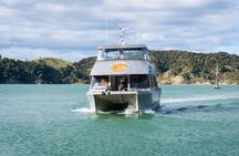 Raglan Scenic Nature Boat Cruise