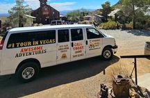Colorado River Adrenaline RZR Tour from Las Vegas