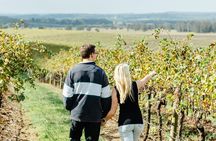 Newcastle: Boutique Hunter Valley Wine Tour 