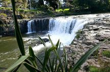 Bay of Islands - Mini Tour: (75-90mins)