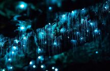 Haruru Waterfalls and Glow Worm Caves Tour