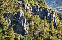 *Popular Tour* - Bay of Islands: Nature Adventure - 4hrs