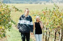 Private Hunter Valley Wine Tour Departing from Newcastle