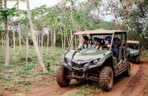 Zipline Tour on North Shore