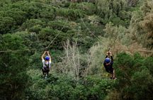 Zipline Tour on North Shore