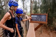 Zipline Tour on North Shore