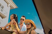 Private Half-Day Panama City & Canal Tour in Open-Top VW Kombi