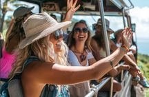 Fun! Open-Air Banyan Tree and Blowhole Sight-Seeing MauiTour!