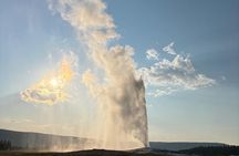 Yellowstone Park Private Customizable Tour from Jackson Hole