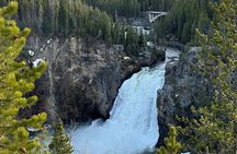 Yellowstone Park Private Customizable Tour from Jackson Hole