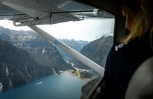 Half-Day Milford Sound Nature Cruise and Flight from Queenstown