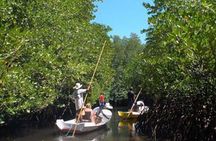 Mangrove Tour Nusa Lembongan Full Day Island Experience