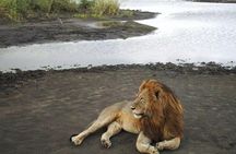  2 Days Adventure Group Tour Tarangire and Ngorongoro