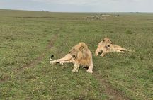  2 Days Adventure Group Tour Tarangire and Ngorongoro