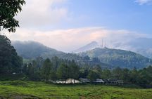 Full Day Bogor Botanical Garden And Puncak Highland Tour