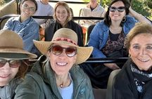 Addo Elephant National Park Full Day Game Drive with BBQ Lunch