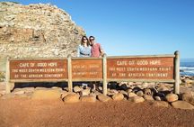 Cape of Good Hope & Penguins Small Group Tour-All Park Fees Incl.