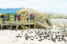 Cape of Good Hope & Penguins Small Group Tour-All Park Fees Incl.