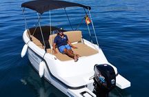 New 2025!! Unlicensed boat for dolphin watching