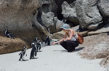 Half-Day Cape Town Tour: Tickets, Fees, Table Mountain & Penguins