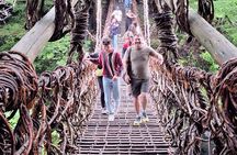 Kochi Shore Excursion Tour by Private Car